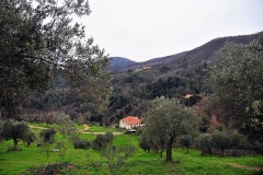 Σκήτη Κουτλουμουσίου