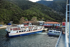 Δάφνη