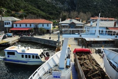 Δάφνη