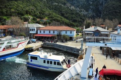 Δάφνη