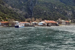 Δάφνη