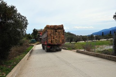 Καρυές