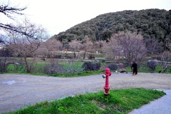 Ι.Μ. Ιβήρων