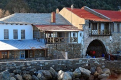Δάφνη
