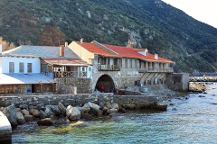 Δάφνη