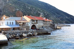 Δάφνη