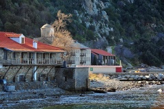 Δάφνη