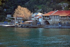 Δάφνη