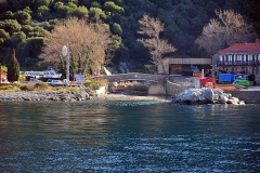 Δάφνη