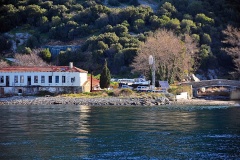 Δάφνη