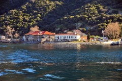 Δάφνη