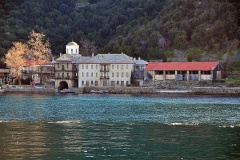 Δάφνη