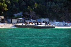 Νέα Σκήτη