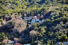 Νέα Σκήτη