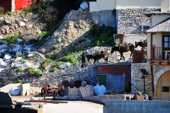 Σκήτη Αγ. Άννας