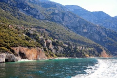 Νέα Σκήτη