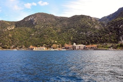 Δάφνη