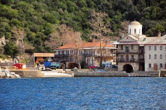 Δάφνη