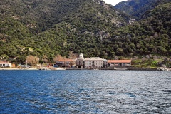 Δάφνη