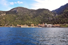 Δάφνη
