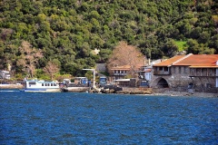 Δάφνη