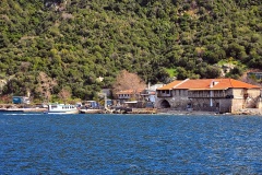 Δάφνη
