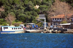 Δάφνη