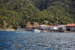Δάφνη