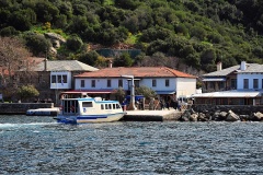 Δάφνη