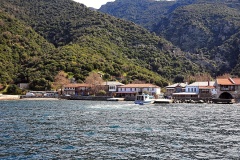 Δάφνη