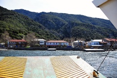 Δάφνη