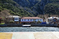 Δάφνη